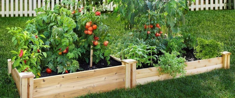 Compost for Raised Gardens